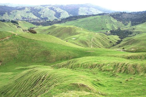 Photo of property in 89 Mcdonald Street, Napier South, Napier, 4110
