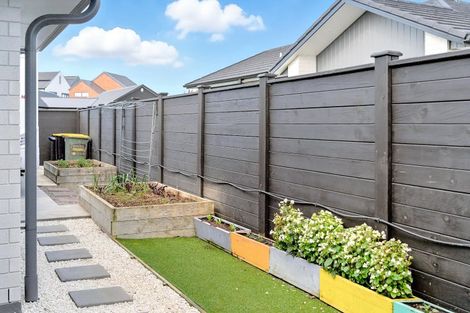 Photo of property in 2 Carnachan Street, Cambridge, 3434