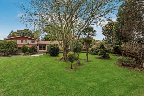 Photo of property in 187 Tablelands Road, Tirohanga, Opotiki, 3197