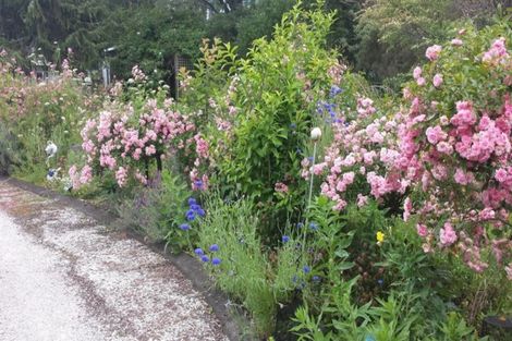 Photo of property in 120 Kahikatea Flat Road, Dairy Flat, Albany, 0794