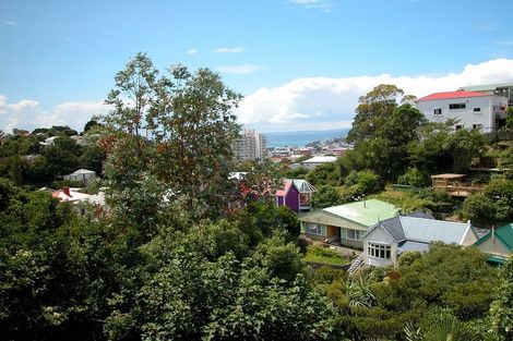 Photo of property in 26 Honiana Te Puni Street, Aro Valley, Wellington, 6021