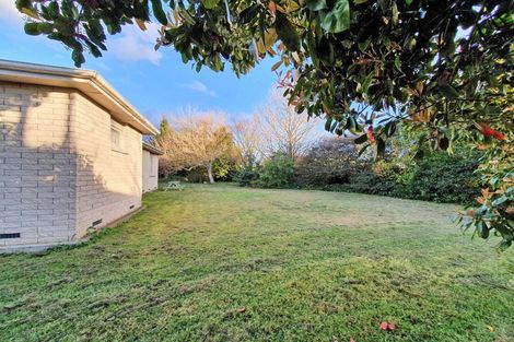 Photo of property in 810 Lumsden Road, Akina, Hastings, 4122