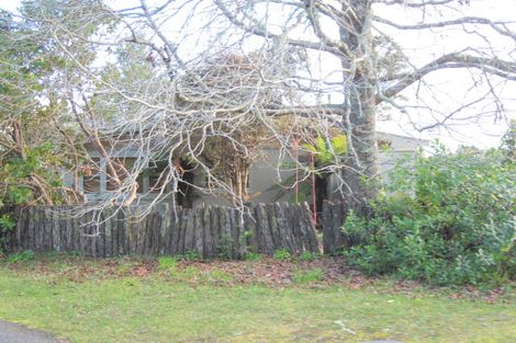 Photo of property in 52 Arapera Road, Hatepe, Turangi, 3382