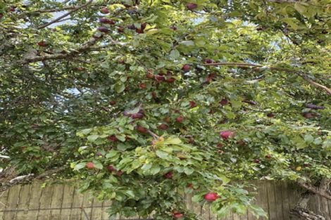 Photo of property in 2 Nield Road, Manurewa, Auckland, 2102