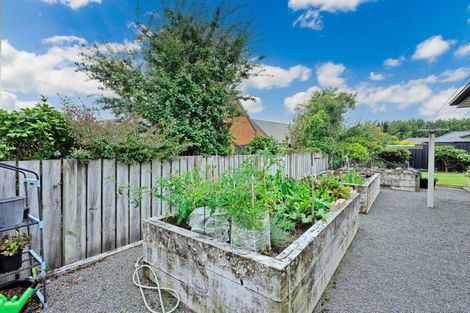 Photo of property in 86 Hoffman Court, Waikiwi, Invercargill, 9810