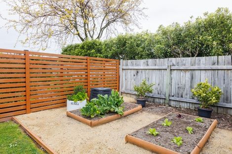 Photo of property in 30 Port Street West, Feilding, 4702