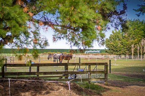 Photo of property in 321 Southbridge Leeston Road, Leeston, 7683