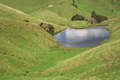 Photo of property in 89 Mcdonald Street, Napier South, Napier, 4110