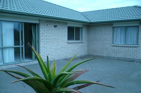 Photo of property in 16 Aufidius Place, Pukekohe, 2120