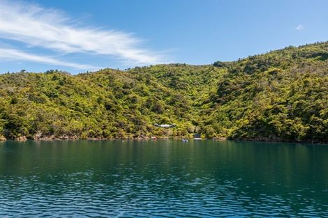 Photo of property in 3178 Blackwood Bay, Blackwood Bay, Marlborough Sounds, 7282