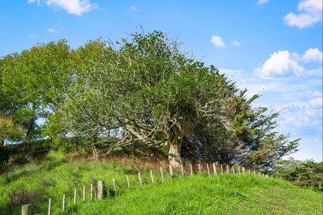 Photo of property in 11 Valerie Close, Warkworth, 0983