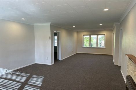 Photo of property in 133 Kawiu Road, Levin, 5510