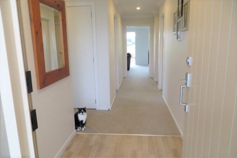 Photo of property in 11 George Street, Te Aroha, 3320