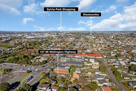 Photo of property in 107 Mount Wellington Highway, Mount Wellington, Auckland, 1060