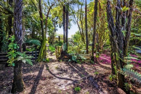 Photo of property in 17 Antonio Street, Stratford, 4332