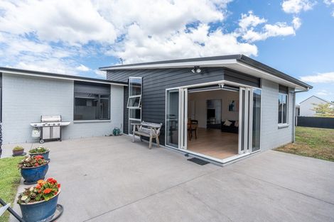 Photo of property in 224 Cumberland Drive, Flagstaff, Hamilton, 3210