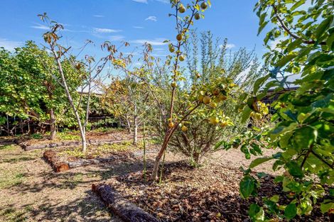 Photo of property in 5 Barbary Close, Wharewaka, Taupo, 3330