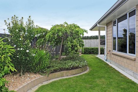 Photo of property in 10 Lochhead Street, Mahora, Hastings, 4120