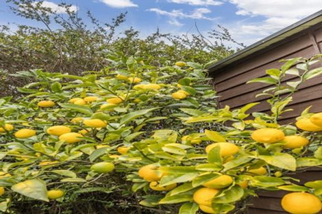 Photo of property in 63 Redwood Avenue, Tawa, Wellington, 5028