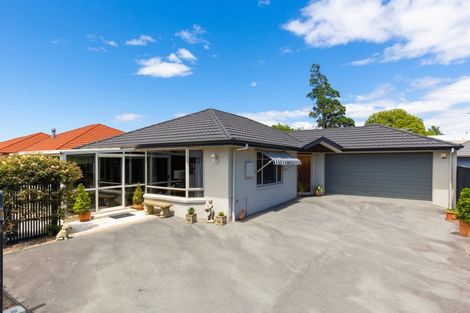 Photo of property in 3 Dillon Street, Blenheim, 7201