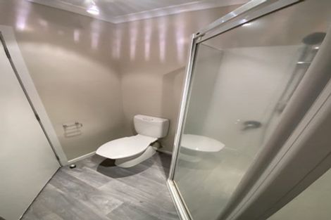 Photo of property in 223c Peachgrove Road, Claudelands, Hamilton, 3214