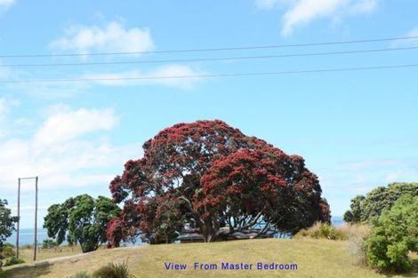 Photo of property in 359 Tangiora Avenue, Whangapoua, Coromandel, 3582