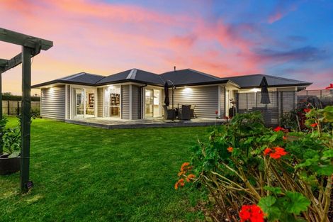 Photo of property in 1 Benmore Crescent, Pyes Pa, Tauranga, 3112