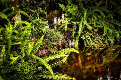 Photo of property in 75 Peake Road, Cambridge, 3493