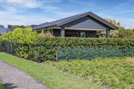 Photo of property in 38 Pakanga Grove, Pyes Pa, Tauranga, 3112