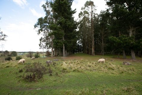 Photo of property in 17 Holt Place, Waipukurau, 4200