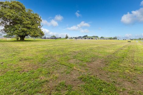 Photo of property in 800 Collinson Street, Pirongia, 3802