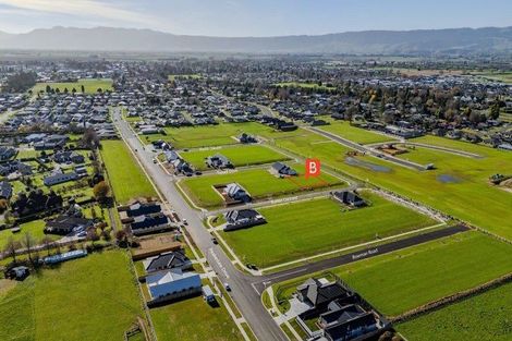 Photo of property in 24 Buxton Crescent, Matamata, 3400