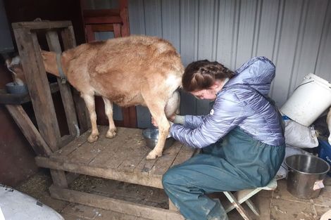Photo of property in 23 Rameka Creek Road, Motupipi, Takaka, 7183