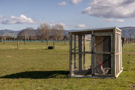 Photo of property in 84 Grieve Road, Otakiri, Whakatane, 3193