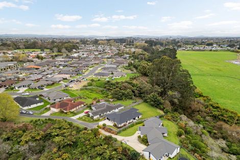 Photo of property in 51 Edgeview Crescent, Fitzroy, Hamilton, 3206