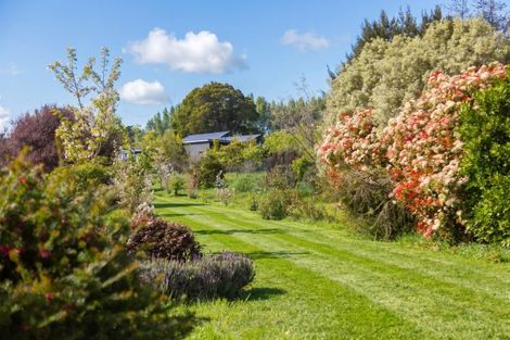 Photo of property in 38b Taranaki Street, Kuripuni, Masterton, 5810