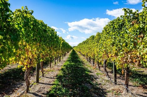 Photo of property in 5 Brook Street, Renwick, 7204