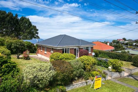 Photo of property in 222 Highcliff Road, Shiel Hill, Dunedin, 9013