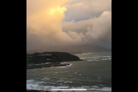 Photo of property in 49 Hornsey Road, Melrose, Wellington, 6023