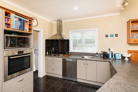 Photo of property in 48 Limbrick Street, Terrace End, Palmerston North, 4410