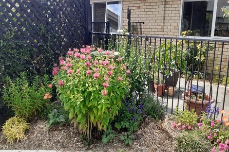 Photo of property in 48 Panckhurst Drive, Woodend, 7610