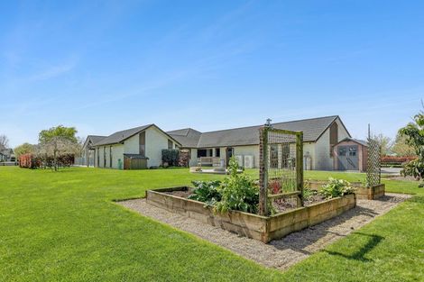 Photo of property in 5 Chestnut Lane, Matamata, 3400