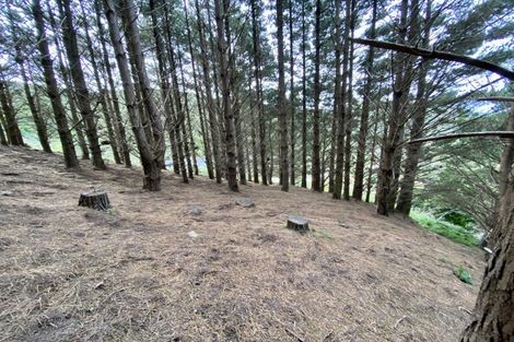 Photo of property in Long Gully Farm, 391 Southernthread Road, Brooklyn, Wellington, 6021