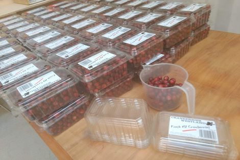 Photo of property in 1218 Old Christchurch Road, Awatuna, Hokitika, 7882