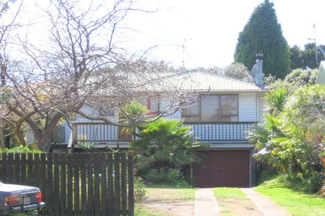 Photo of property in 91 Valley Road, Mount Maunganui, 3116