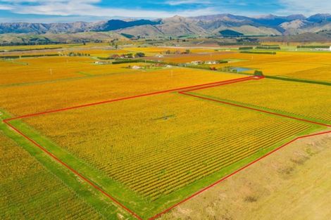 Photo of property in 96 Shandon Road, Waihopai Valley, 7276