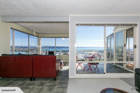 Photo of property in 30 Hospital Terrace, Hospital Hill, Napier, 4110