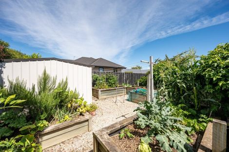 Photo of property in 102 Champion Road, Richmond, 7020