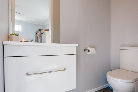 Photo of property in 147 Stanford Street North, Ashhurst, 4810