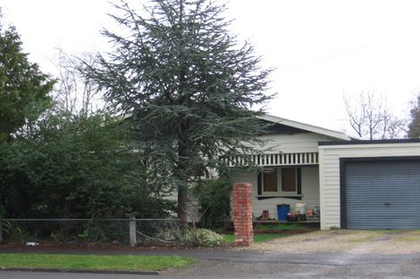 Photo of property in 33 Totara Street, Lansdowne, Masterton, 5810